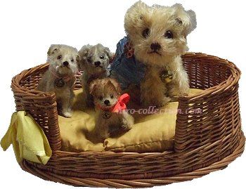 シュタイフ モーリー